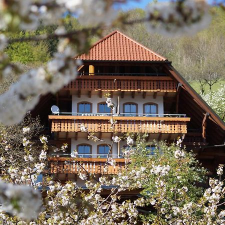 Kurparkhotel Faisst Бад-Петерсталь-Грисбах Экстерьер фото