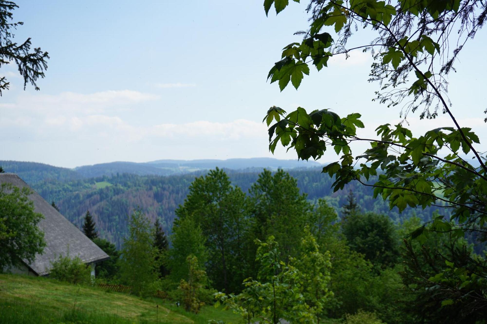 Kurparkhotel Faisst Бад-Петерсталь-Грисбах Экстерьер фото