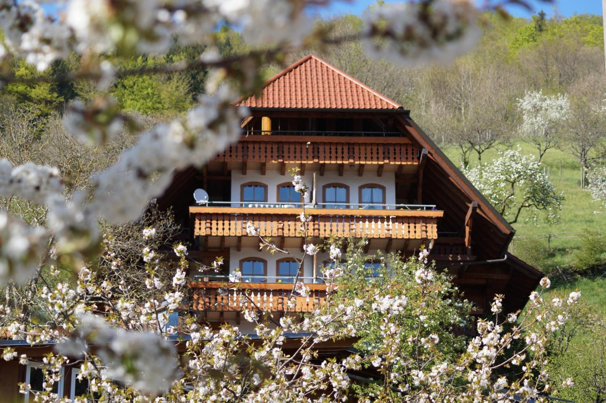 Kurparkhotel Faisst Бад-Петерсталь-Грисбах Экстерьер фото